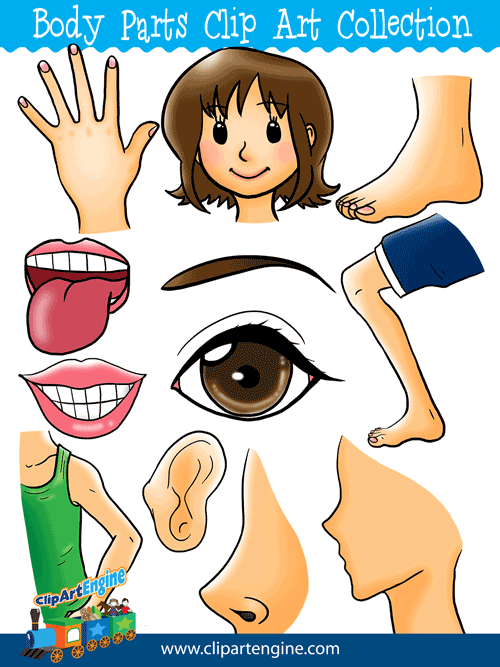 free clipart human body parts - photo #9