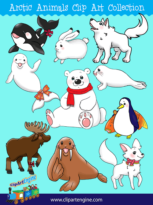 Our Arctic Animals Clip Art Collection is a set of royalty free vector graphics that includes a personal and commercial use license.
