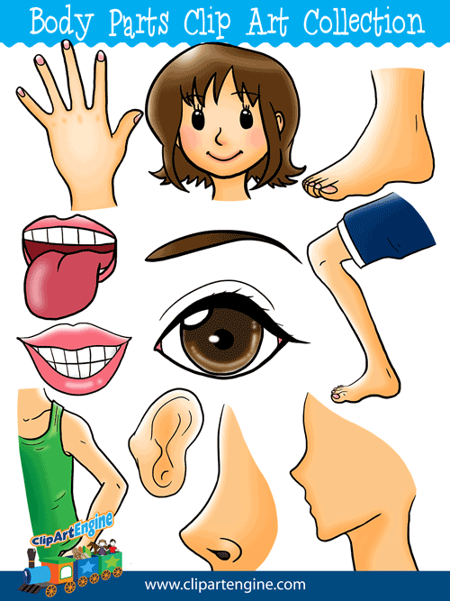 Our Body Parts Clip Art Collection is a set of royalty free graphics that includes a personal and commercial use license.
