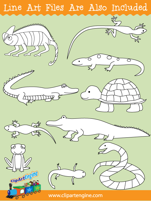 Black and white line art files are also included as part of this collection of reptiles and amphibians clip art.