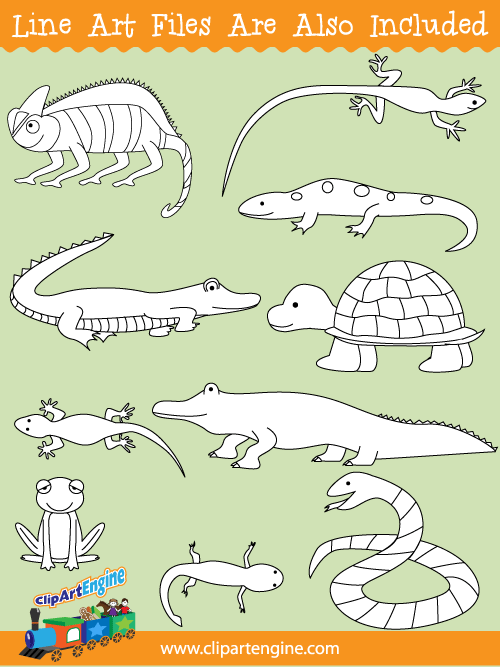 Reptiles and Amphibians Clip Art Collection for Commercial Use