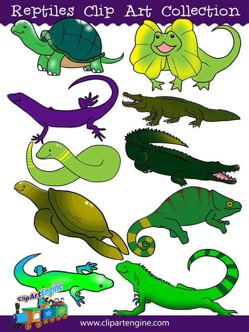 Reptiles Clip Art Collection is a set of royalty free graphics that includes a personal and commercial use license.